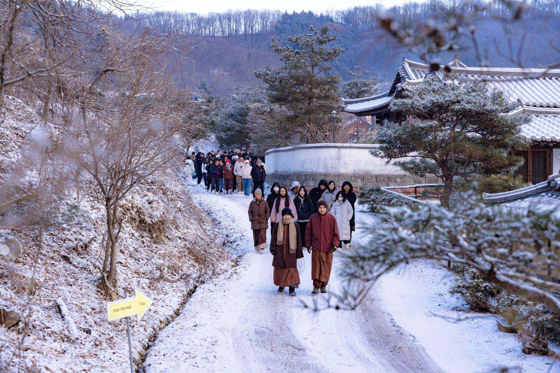 dao-tinh-giua-ngay-dong7